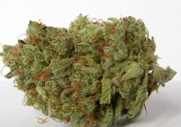 CBD Cannabis Angel