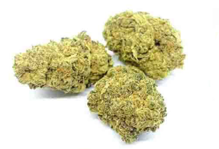 Mango Blüten - 30% HHC Cannabis